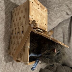 Woven Basket with Plush Toy